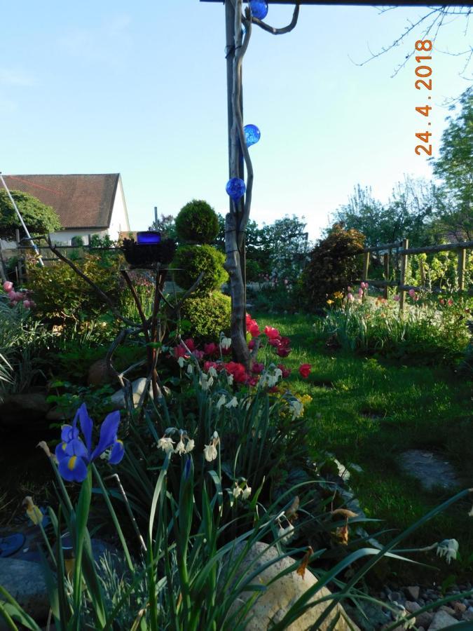 Chez Nous. B & B Bassy Экстерьер фото